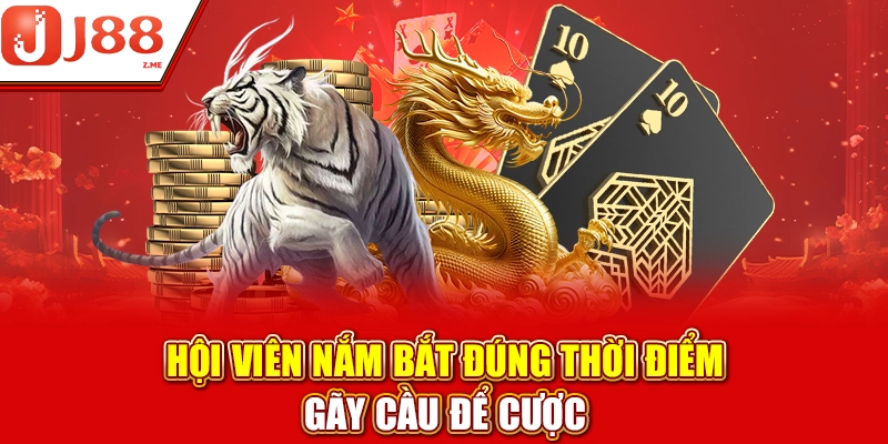Cách soi cầu Rồng Hổ nắm bắt thời điểm gãy nhịp