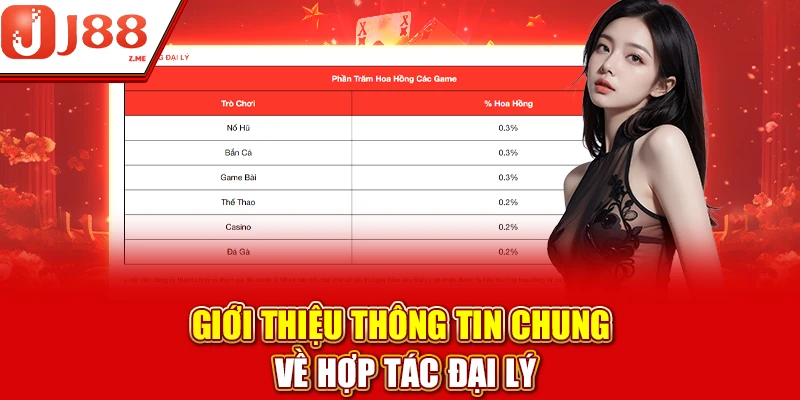 Giới thiệu thông tin chung về hợp tác đại lý