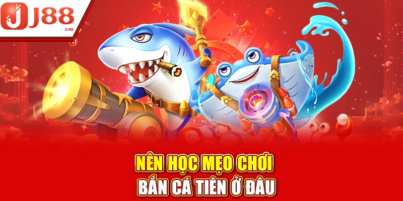 Nên học mẹo chơi bắn cá tiên ở đâu